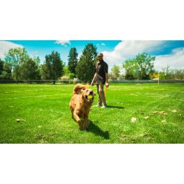 Lanceur de Balles pour Chiens Hunter Jaune Orange Caoutchouc Ballon