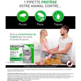 Frontline Combo 6 pipettes pour chats et furets