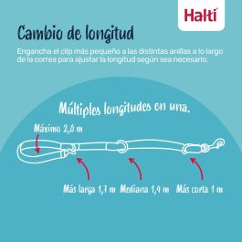 Laisse de suivi Company of Animals Vert