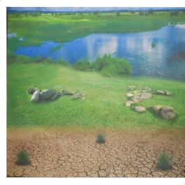 Set Animaux Sauvages Colorbaby Plastique 13 x 12 x 5 cm (4 Unités)