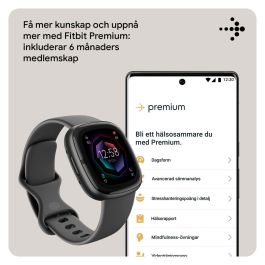 Montre intelligente Google Sense 2 Gris 1,58"
