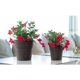 Stefanplast Ethica Pot de fleur avec réserve d'eau 2 L 40 x 39 cm - Blanc