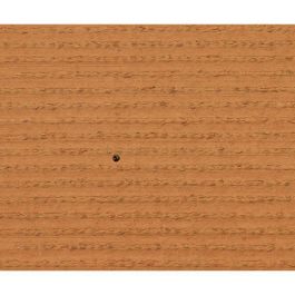 Gazon - EXELGREEN - 124414 - Natura 2D - 38mm / 1 x 5 m