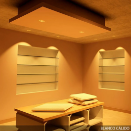 Ampoule LED GU10 6W 540Lm 6000K 40.000H [JN-5C-GU10-6W-CW]