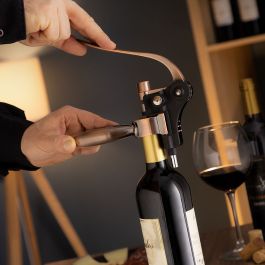 Set d'Accessoires pour Vin Servin InnovaGoods 5 Pièces