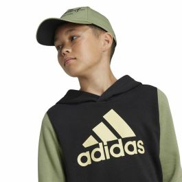 Sweat à capuche homme Adidas Essentials Vert