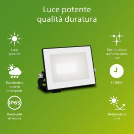 Projecteur Philips Noir 10 W 950 Lm F