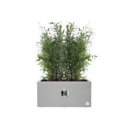 Elho Jardinière Vivo Next Long 60 Gris L 59 x B 30 x H 29 cm Interior/exterior 100% Recyclé ELH8711904499648