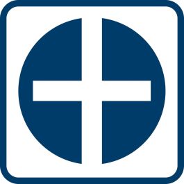 Tournevis d'électricien BOSCH pH 30 x 125 mm