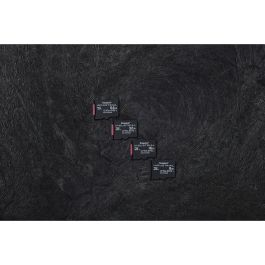 Carte Mémoire Micro SD avec Adaptateur Kingston Industrial