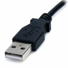 Câble USB Startech USB2TYPEM2M Noir