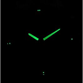 Montre Homme Casio Marron Argenté