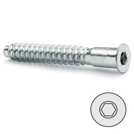 HERRAJES ALK Vis à bois autoréférencée, Allen zingué 7-70 Precio: 3.5900004. SKU: B17JRMVFTP