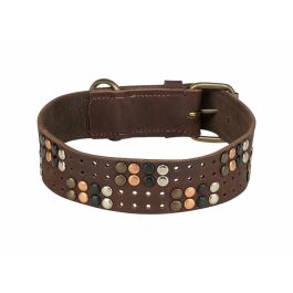 Collier pour Chien Trixie Rustic Brun foncé L