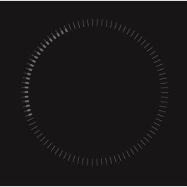 Plaque à Induction Brandt BPI6310B 60 cm 4600 W