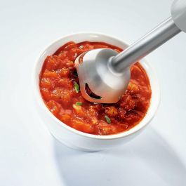 Mixeur plongeant Moulinex DD65AD10