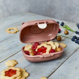 Monbento Boîte à Goûter Hermétique MB Gram Fox Snack Box Compacte 600 ml Sans BPA Personnalisable
