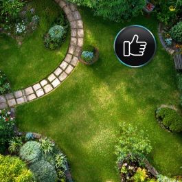 Tondeuse à gazon à batterie Cecotec E1 Liberty 20 V 32 cm 20-70 mm 30 L