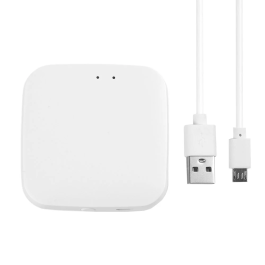 Tuya Gateway Inalámbrico Zigbee 1916-GATE-ZB - Hub Connectivité Ethernet pour jusqu'à 100 appareils ZigBee Tuya