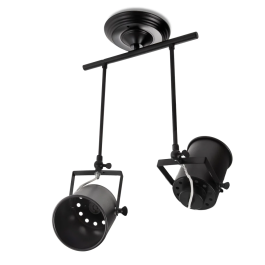 Spot de plafond orientable Daleyza HO-APL-GU10-013