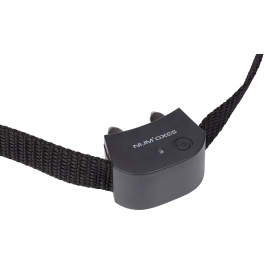 Num'Axes Collier anti-fugue pour chats et petits chiens CANIFUGUE Taille Small Noir - Délimitation de périmètre Precio: 153.216. SKU: B1785PVNQZ