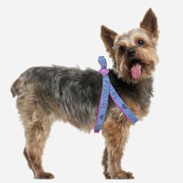 Harnais pour Chien Superman Rose