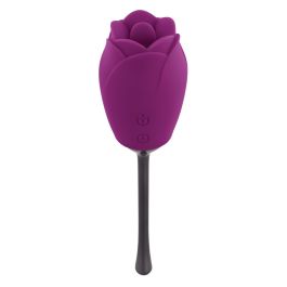Stimulateur clitoridien Playboy Playboy Violet
