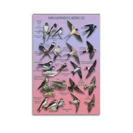 Écran Samsung LS37D700EAUXEN 4K Ultra HD 37"