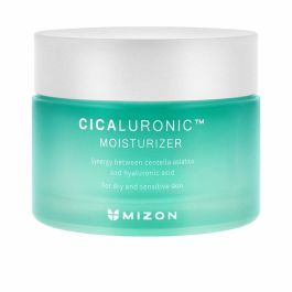 Mizon Crème hydratante CICALURONIC 50 ml - Acide Hyaluronique, Peaux Sèches et Sensibles, Réparation Intense Precio: 26.4999996. SKU: B1CTWQNRQ9