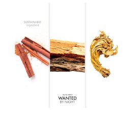 Azzaro Wanted By Night Eau De Parfum Vaporisateur 100 mL