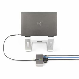 Câble USB Startech 5G2A1SGBB-USB-C-HUB Gris