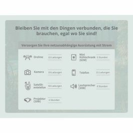 Système d'Alimentation Sans Interruption Interactif APC PPS330-GR