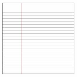 Livre d'actes DOHE 09905 Bordeaux A4 Feuille 100 Volets