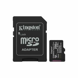 Carte Mémoire Micro SD avec Adaptateur Kingston SDCS3/256GB 256 GB