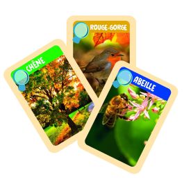 Jeu scientifique Clementoni