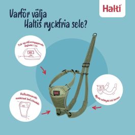 Harnais pour Chien Company of Animals FOREST Vert L