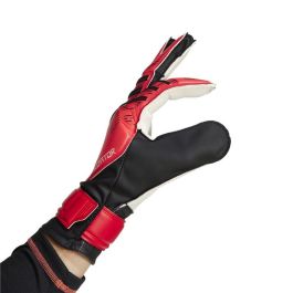 Gants de Gardien de But Adidas Predator Trn Rouge Adultes 10-12 Ans