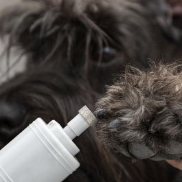 Lime à Griffes Électrique pour Animaux de Compagnie PediPet InnovaGoods