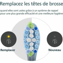 Philips Pack de 4 cabezales de cepillo HX9044/88 C3 negro