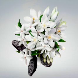 Carolina Herrera Huile Pour Les Jambes Good Girl 150 mL