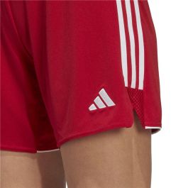Short de Sport Adidas Tiro 23 Lw