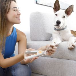 Coupe-griffes avec LED pour Animaux de Compagnie Clipet InnovaGoods