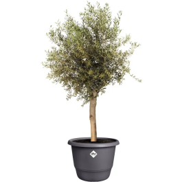 ELHO Amiga Rond 55 - Pot de fleur rond extérieur en matériaux recyclés - Noir - 55 L - Ø 55 x H 51 cm