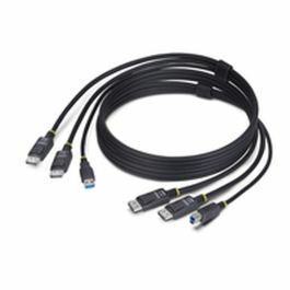 Câble adaptateur Startech DDU1226-KVM-CABLE