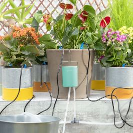 Système d’Arrosage Goutte-à-goutte Automatique pour Pots Regott InnovaGoods