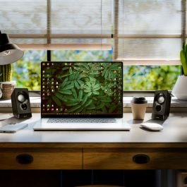 Haut-parleurs NGS SB210 Noir 12 W