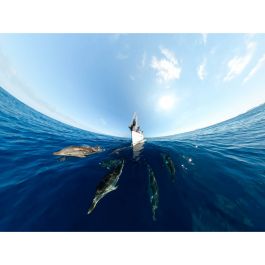 Appareil Photo Numérique GoPro CHDHZ-203-RW Noir