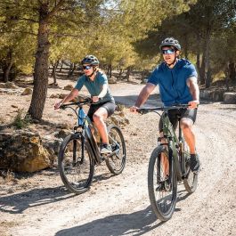 Vélo Électrique Cecotec Supreme 250 W 29"