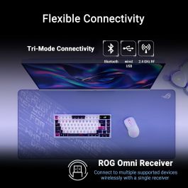 Souris Asus 90MP04A0-BMUA10 Blanc