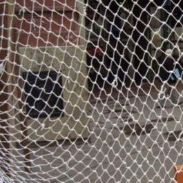 JORPE Filet de Protection pour Chantiers Homologué 5x10m Precio: 124.89. SKU: B1K3VPLBY5